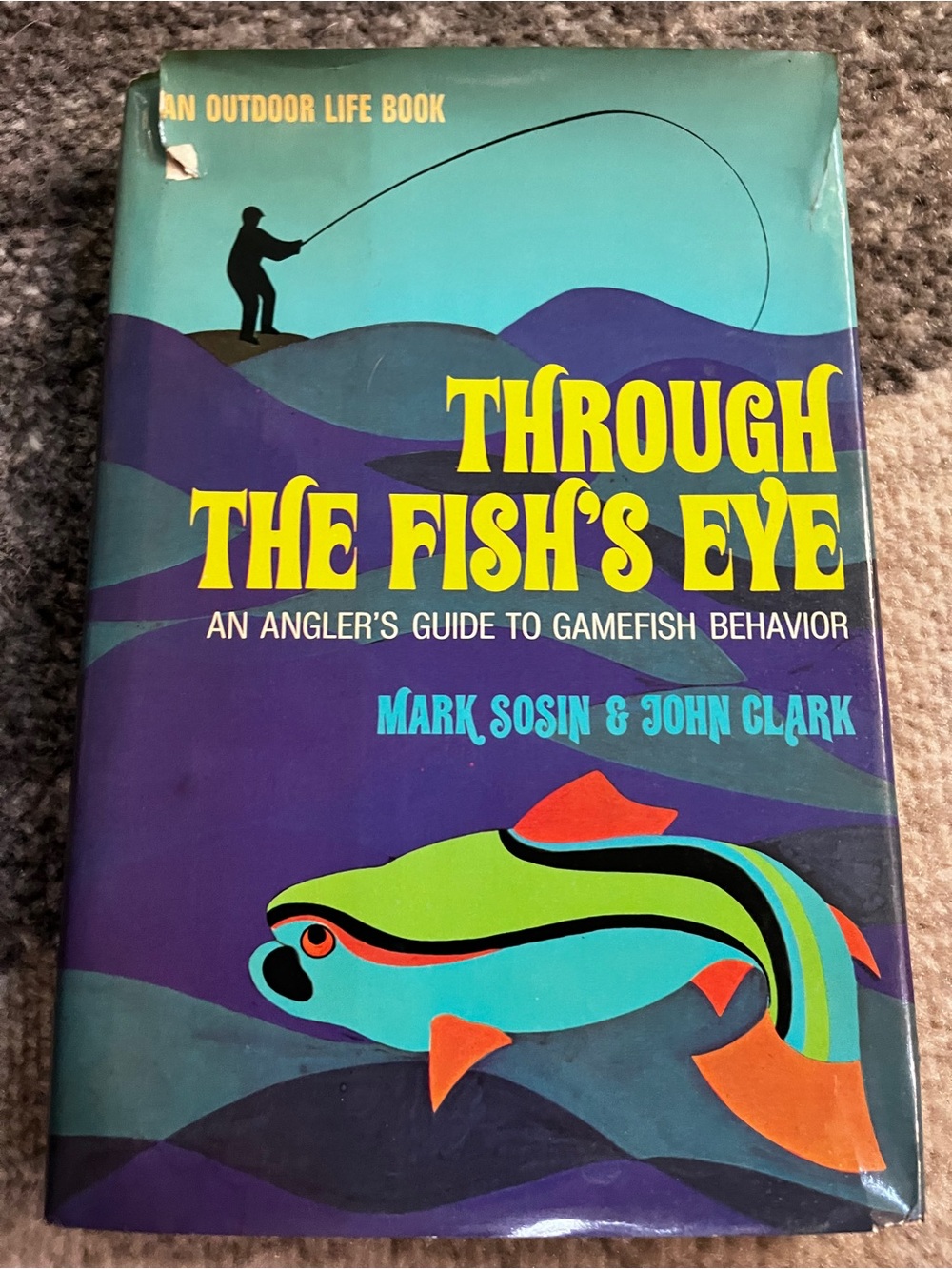 Through the Fish's Eye - Green & Teal Hardcover Fishing Guide